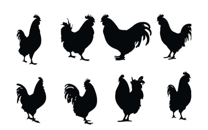Big rooster standing silhouette vector Illustration