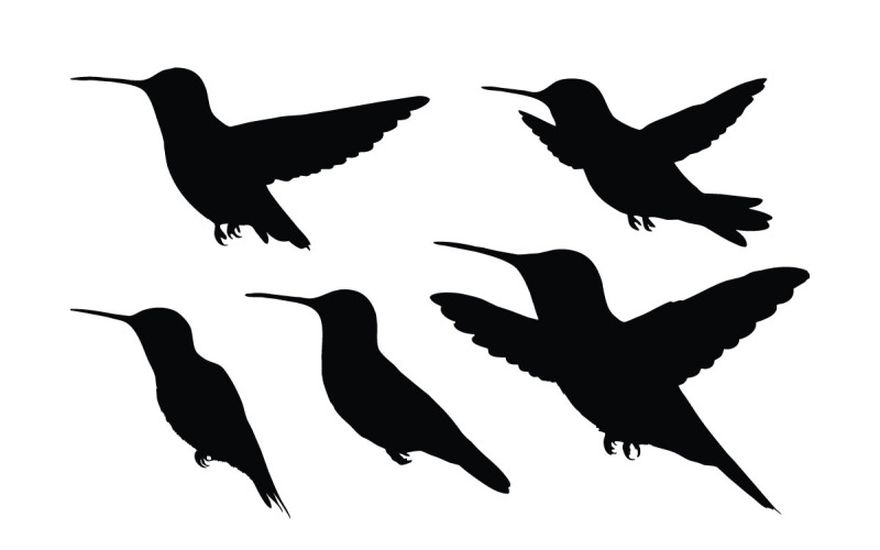 Hummingbird flying silhouette bundle Illustration