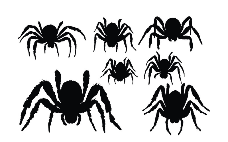 Poisonous spider silhouette set vector Illustration