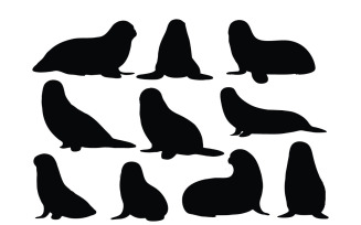 Small sea lion silhouette set vector