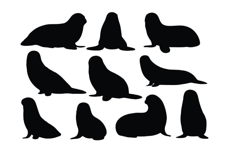 Small sea lion silhouette set vector Illustration