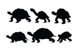 Tortoise standing silhouette bundle