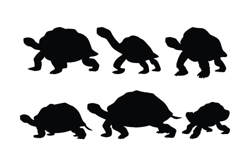 Tortoise standing silhouette bundle Illustration