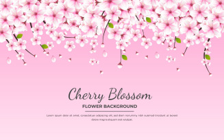 Vector cherry blossom vector. cherry blossom flower blooming vector. pink sakura flower