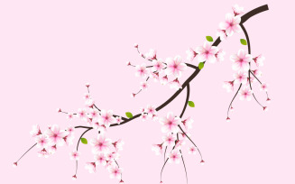Vector watercolor cherry blossom vector. cherry blossom flower blooming vector. pink sakura flowers