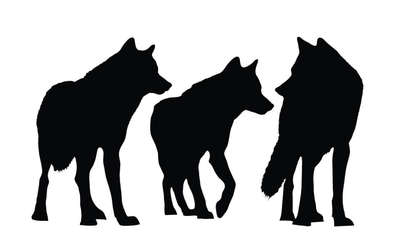 Wolf standing silhouette collection Illustration