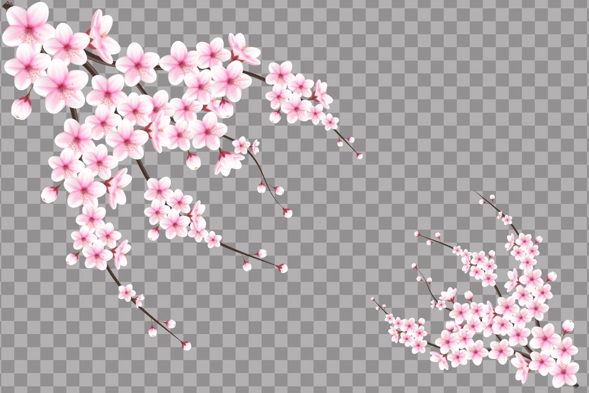 Kit Graphique #336203 Japonese Sakura Divers Modles Web - Logo template Preview