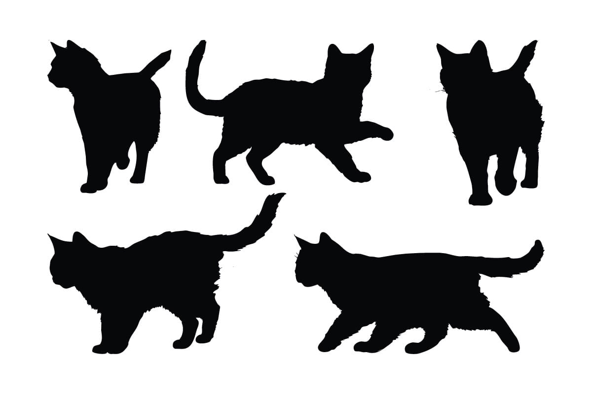 Kit Graphique #336433 Cat Symbol Divers Modles Web - Logo template Preview