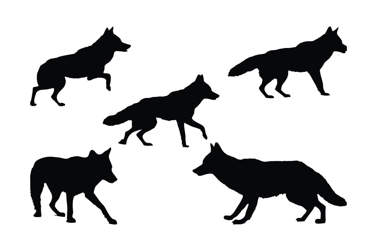 Kit Graphique #336438 Coyote Vecteur Divers Modles Web - Logo template Preview
