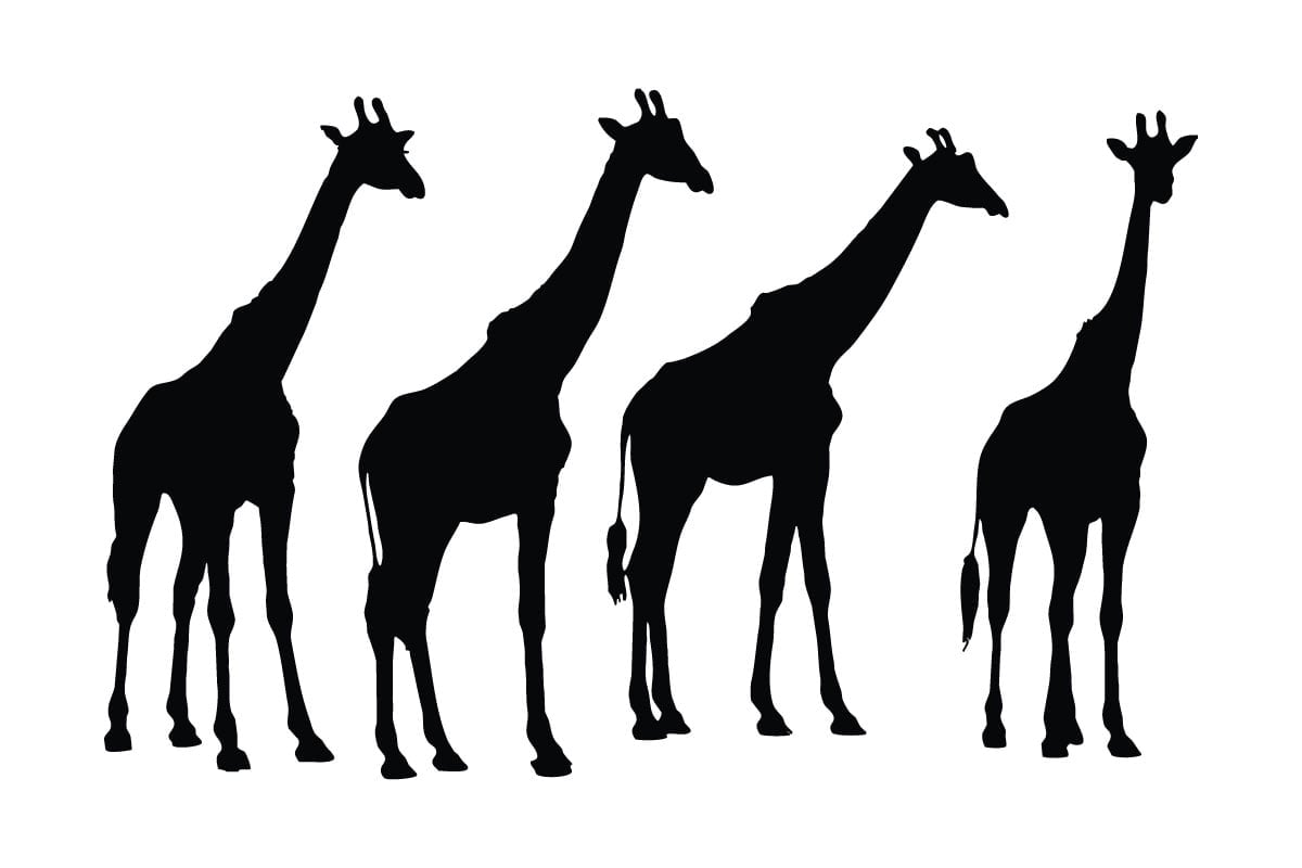 Kit Graphique #336449 Paisible Girafe Divers Modles Web - Logo template Preview