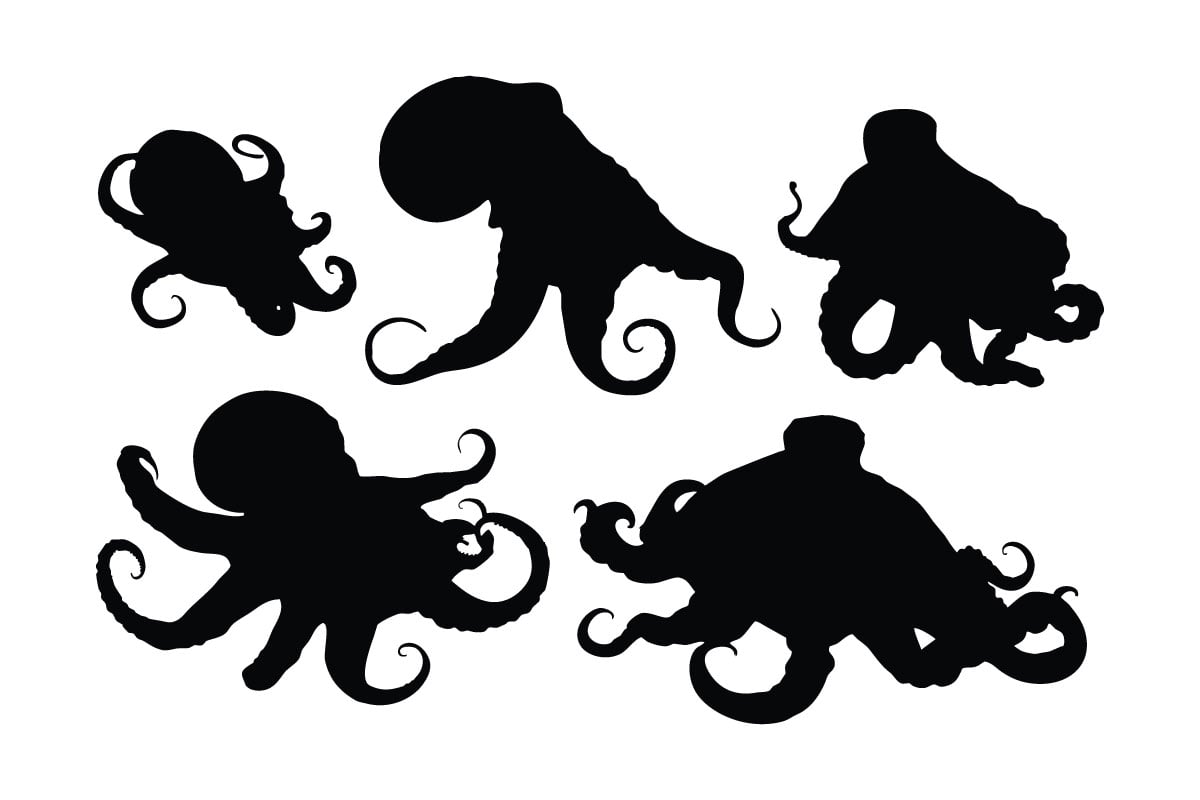 Kit Graphique #336457 Black Octopus Divers Modles Web - Logo template Preview