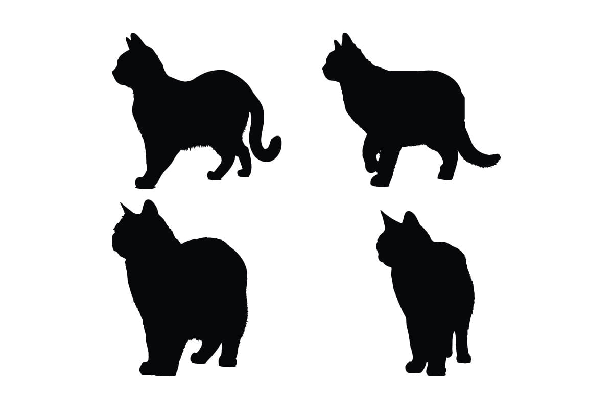 Kit Graphique #336460 Cat Symbol Divers Modles Web - Logo template Preview