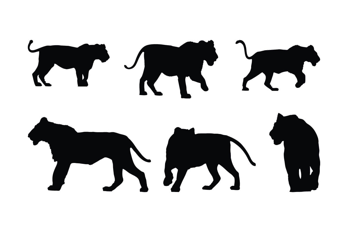 Kit Graphique #336467 Nature Lion Divers Modles Web - Logo template Preview
