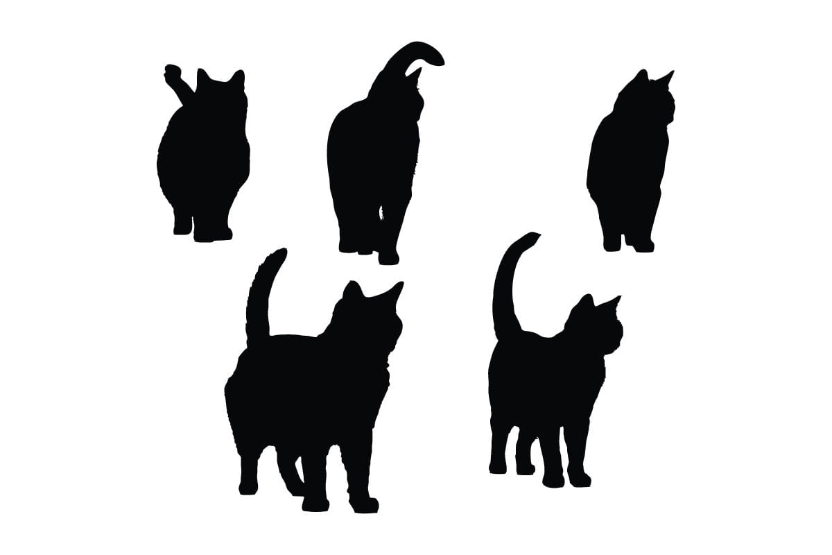 Kit Graphique #336472 Cat Symbol Divers Modles Web - Logo template Preview