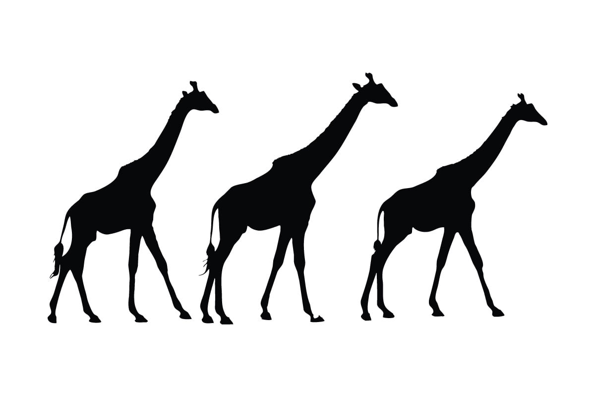 Kit Graphique #336475 Paisible Girafe Divers Modles Web - Logo template Preview