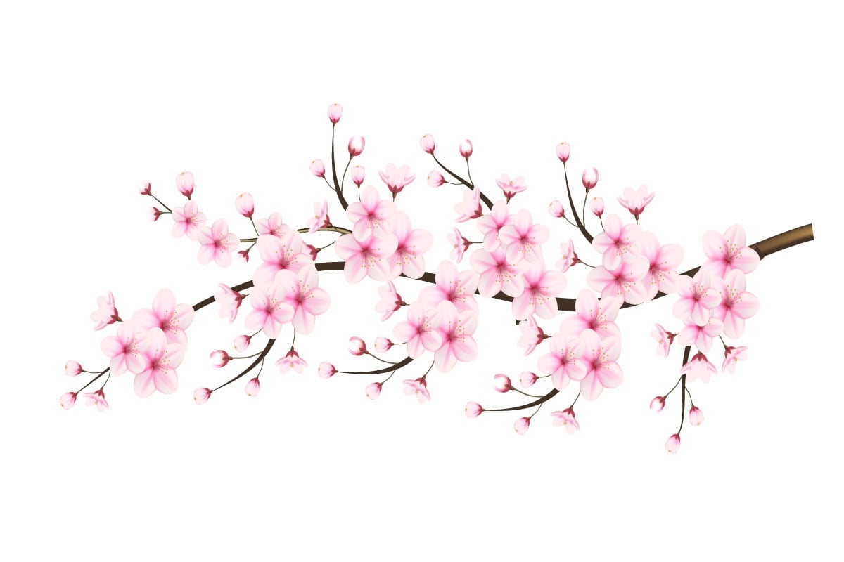 Kit Graphique #336482 Japanese Sakura Divers Modles Web - Logo template Preview