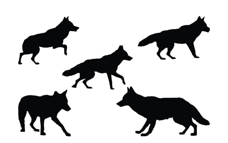Carnivore coyote walking silhouette set Illustration