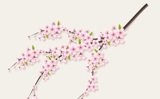 Cherry blossom branch with sakura flower cherry blossom sakura flowers with falling petals