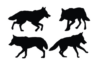Coyote walking in different positions vector