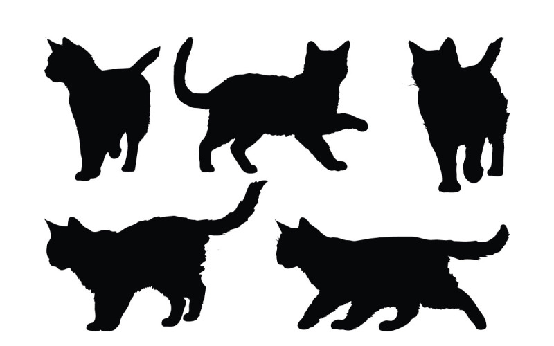 Domestic cats walking silhouette vector Illustration