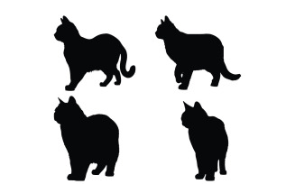 Domestic feline standing silhouette set