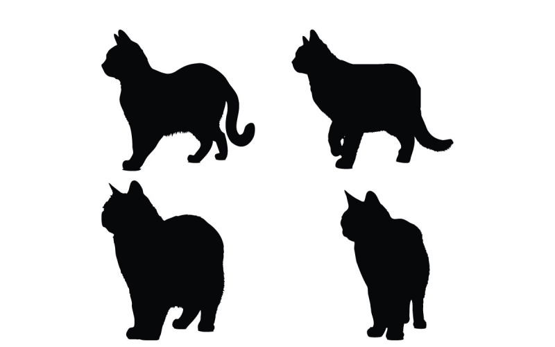 Domestic feline standing silhouette set Illustration