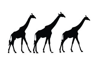 Giraffe walking silhouette collection
