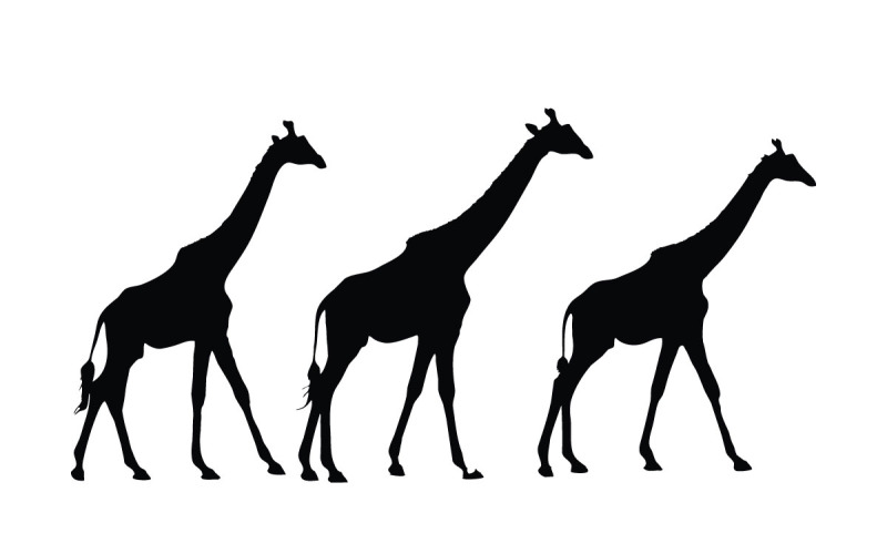 Giraffe walking silhouette collection Illustration