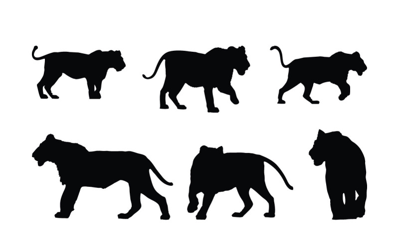 Lion walking and running silhouette set Illustration