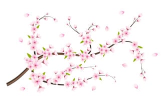 Vector Cherry blossom branch with sakura flower cherry blossom sakura flower with falling petals