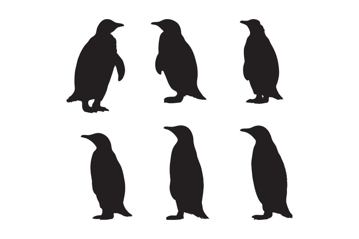 Kit Graphique #336512 Wild Penguin Divers Modles Web - Logo template Preview