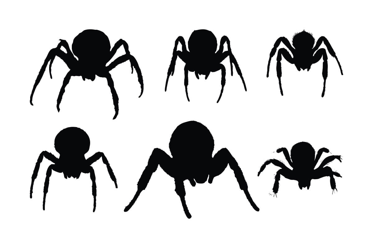 Kit Graphique #336544 Dangerous Spider Divers Modles Web - Logo template Preview