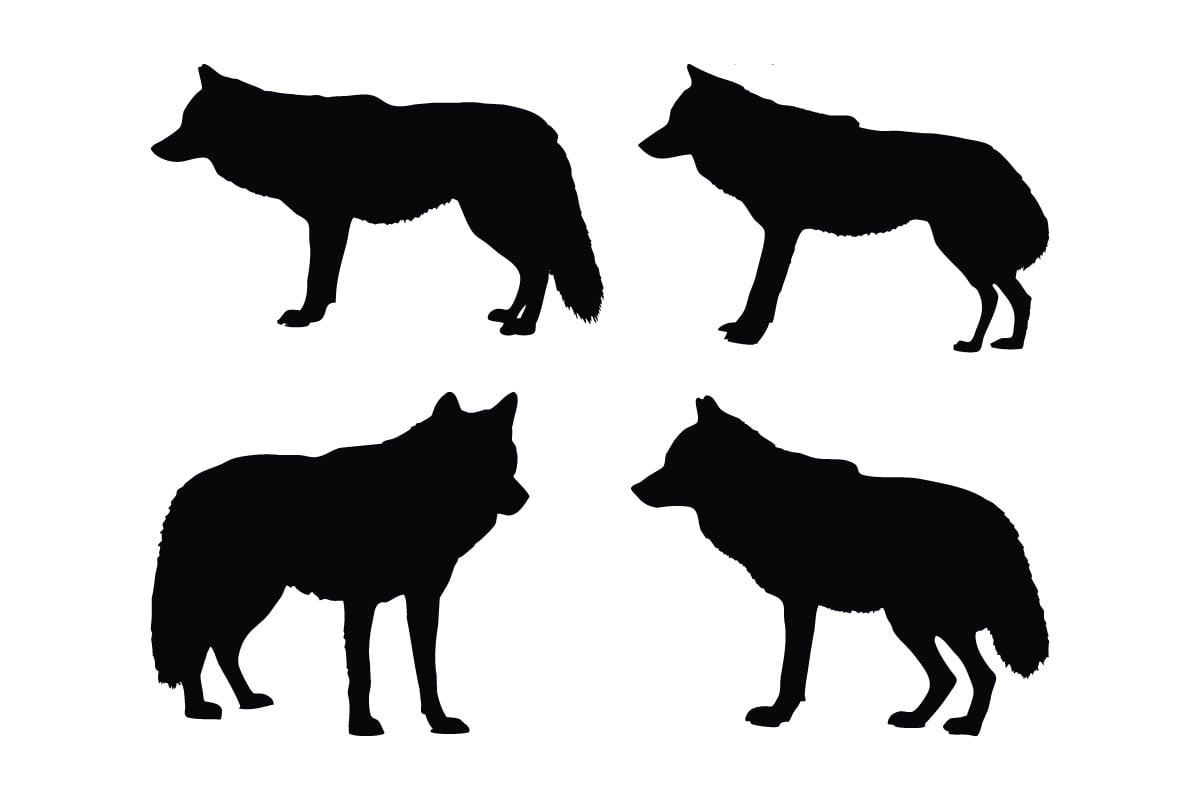 Kit Graphique #336569 Wolf Vecteur Divers Modles Web - Logo template Preview