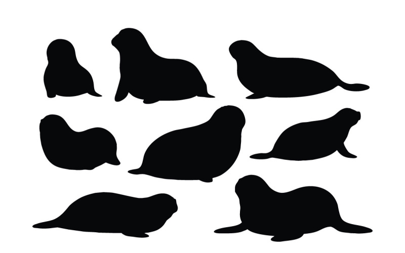 Baby seals laying silhouette set vector Illustration