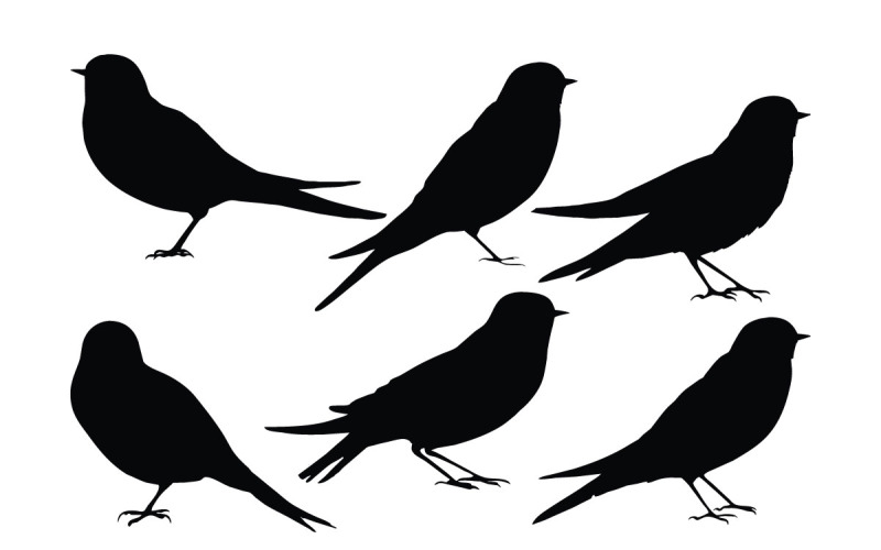 Birds sitting silhouette collection Illustration