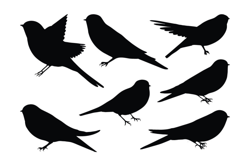 Cute swallows bird silhouette vector Illustration