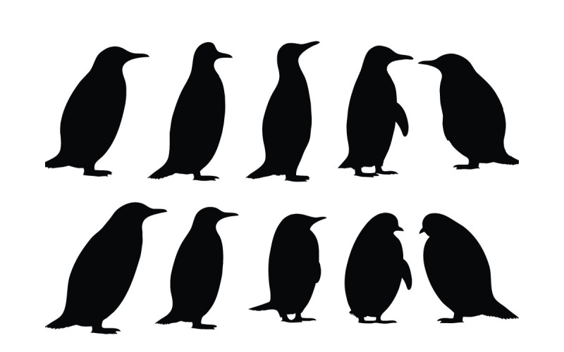 Flightless birds standing silhouette set Illustration