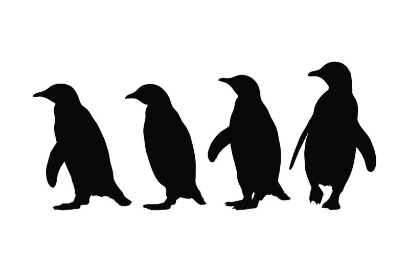 Flightless penguins silhouette bundle Illustration