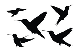 Hummingbird flying silhouette bundle vector