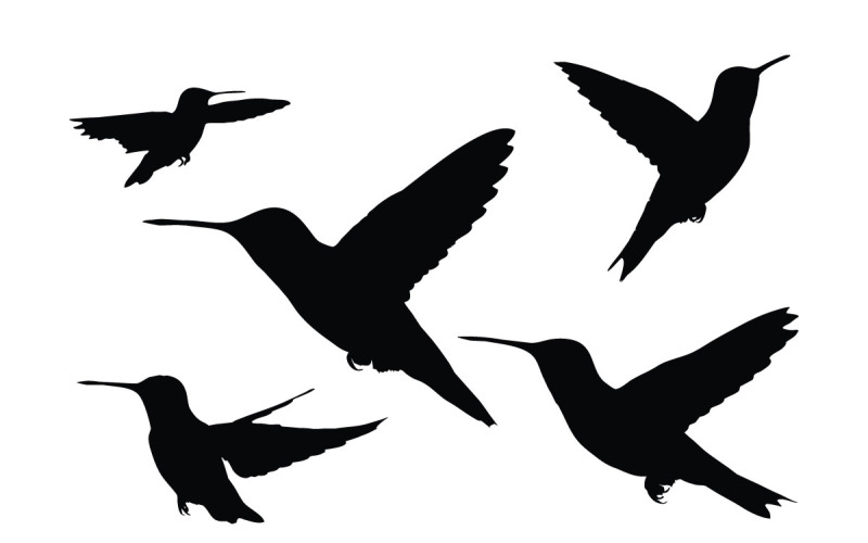 Hummingbird flying silhouette bundle vector Illustration