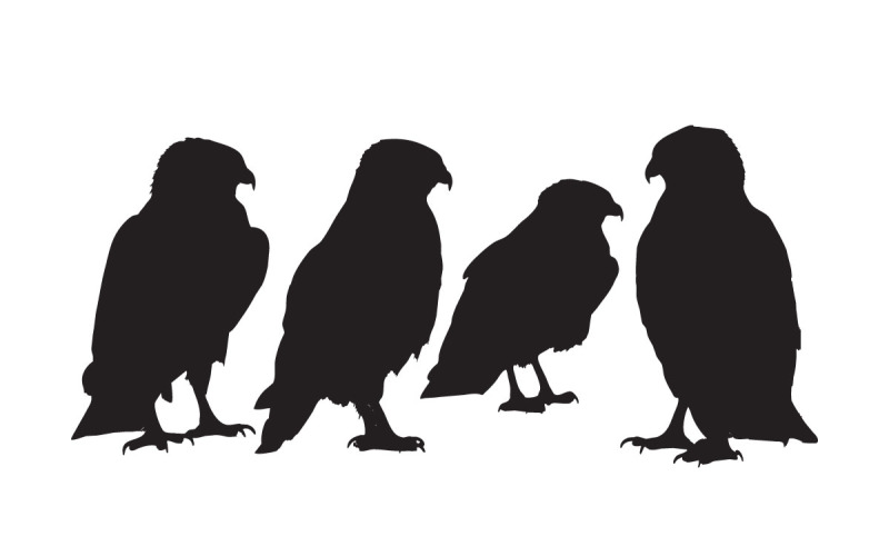 Predator bird sitting silhouette vector Illustration