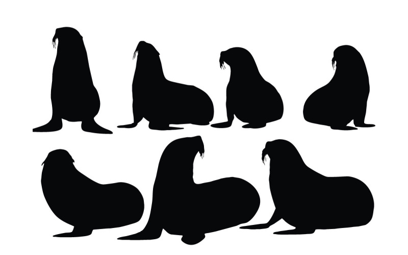 Sea lions sitting silhouette vector Illustration