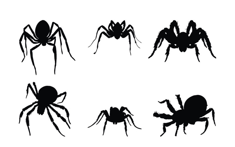 Spider full body silhouette collection Illustration
