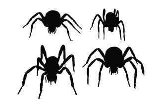 Spider silhouette collection vector