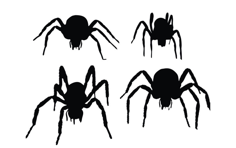 Spider silhouette collection vector Illustration