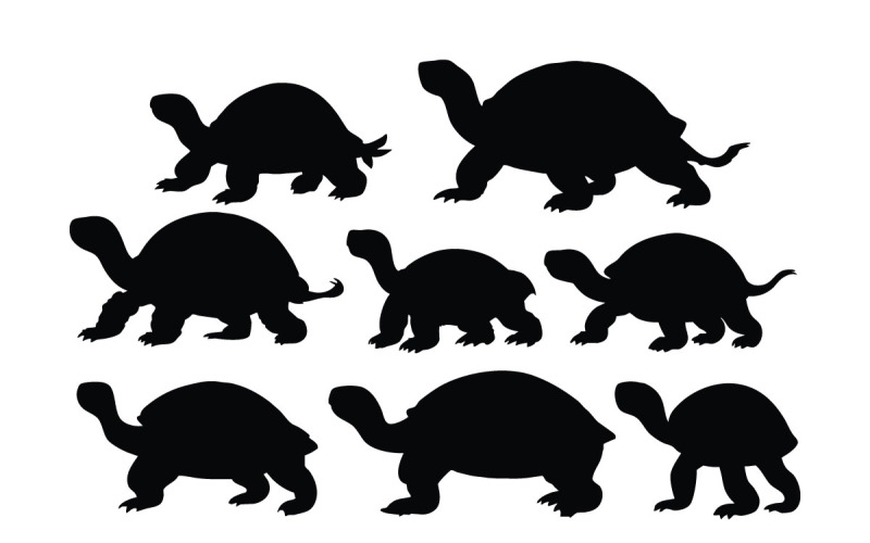 Tortoise and turtle silhouette vector Illustration