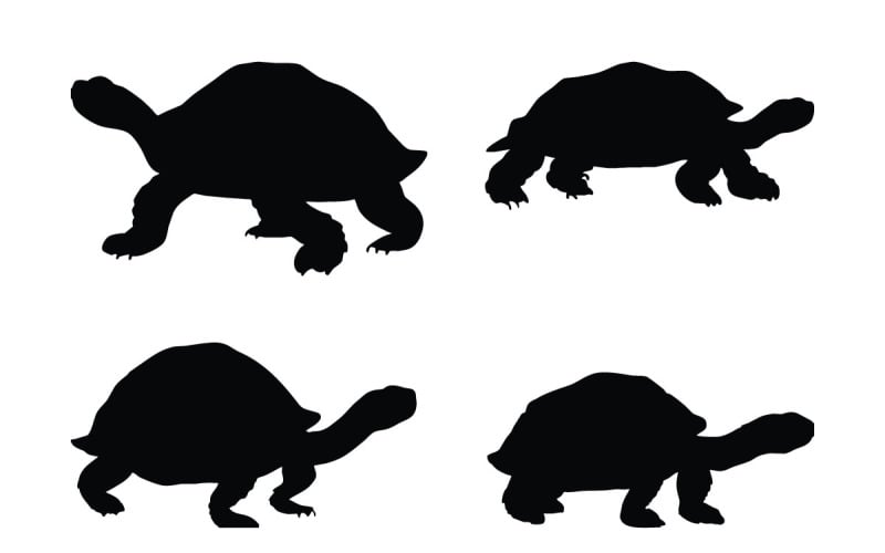 Tortoise standing silhouette bundle vector Illustration