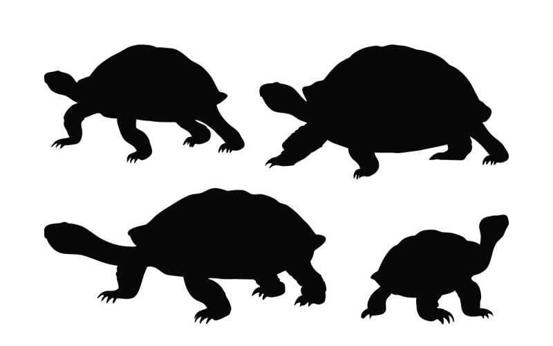 Tortoise walking silhouette set vector Illustration