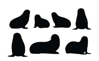 Wild sea lion laying silhouette vector