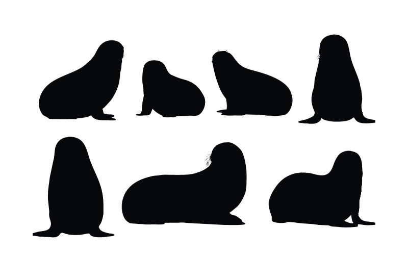 Wild sea lion laying silhouette vector Illustration